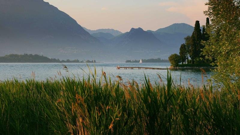 Uçak Kargo ile Numune Gönderimi: Küresel Ticaretin Hız Köprüsü