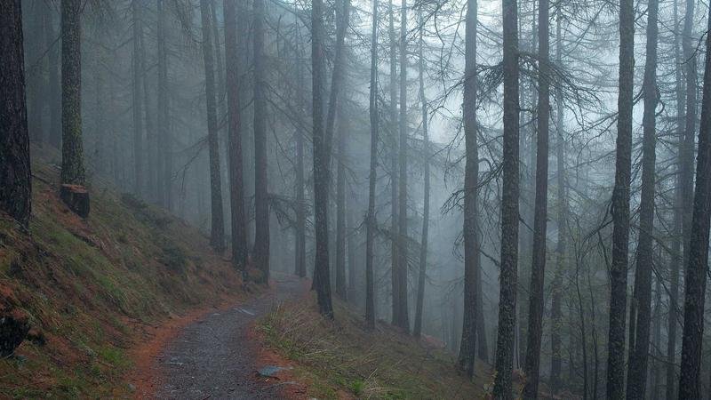 Uçak Kargo ile Yedek Parça Gönderimi: Küresel Tedarik Zincirlerinde Kesintisiz Akışın Teminatı